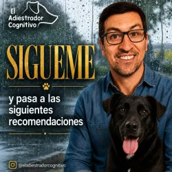 Imagen 2 del servicio