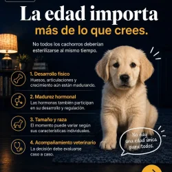 Imagen 4 del servicio