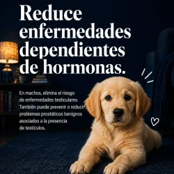 Imagen 5 del servicio