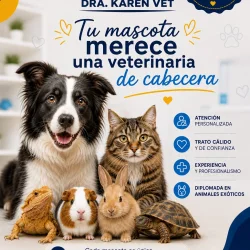 Imagen 1 del servicio
