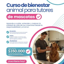 Imagen 2 del servicio