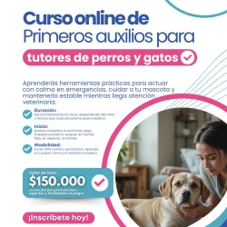 Imagen 3 del servicio