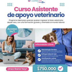Imagen 4 del servicio