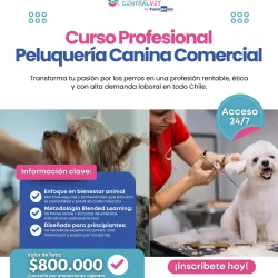 Imagen 5 del servicio