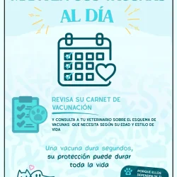 Imagen 3 del servicio