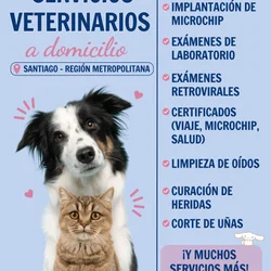 Imagen 1 del servicio