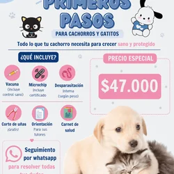 Imagen 2 del servicio