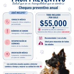 Imagen 3 del servicio