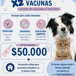 Imagen 4 del servicio
