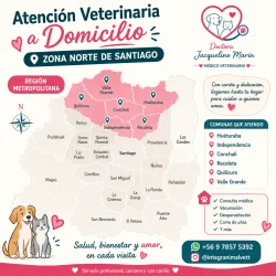 Imagen 1 del servicio