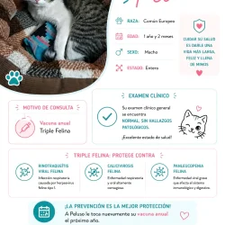 Imagen 5 del servicio