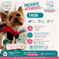 Imagen 8 del servicio