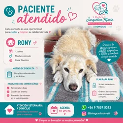 Imagen 4 del servicio