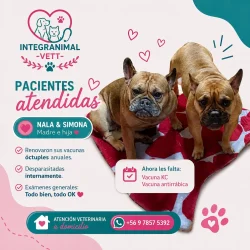 Imagen 9 del servicio