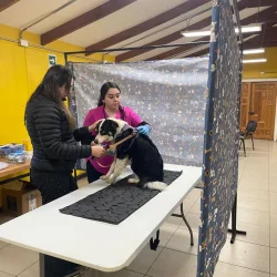 Imagen 7 del servicio