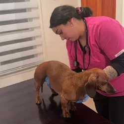 Imagen 8 del servicio