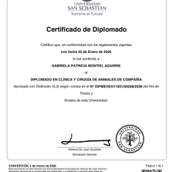 Imagen 3 del servicio