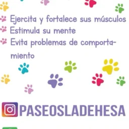 Logo de PaseosLaDehesa