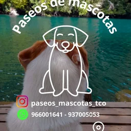 Logo de Paseos_mascotas_tco
