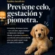 Imagen 3 del servicio