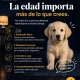 Imagen 4 del servicio