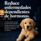 Imagen 5 del servicio
