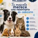 Imagen 1 del servicio