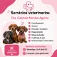 Imagen 1 del servicio